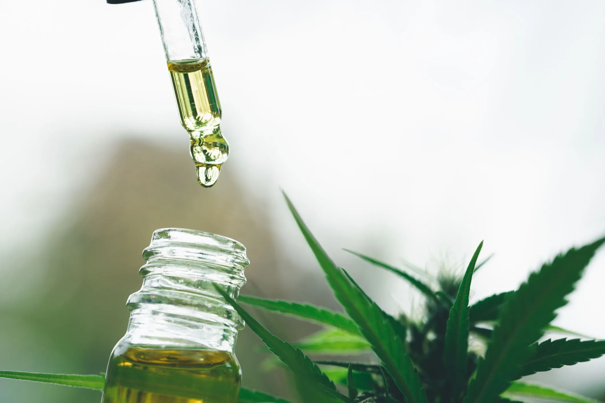Cannabis Medicinal
